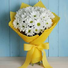 Букет цветов из:  Хризантемы в Средний Икорец
