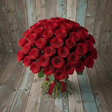 Букет 55 Красных роз Фридом #REPLACE_PRED# Средний Икорец