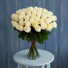 Букет 51 Белая роза Эдлесс Лав #REPLACE_PRED# Средний Икорец