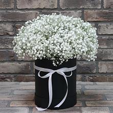 Цветочная композиция из Гипсофила в шляпной коробке в Средний Икорец